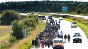 Migrants on E45 freeway, Padborg, heading to Sweden (--bbc.co.uk)