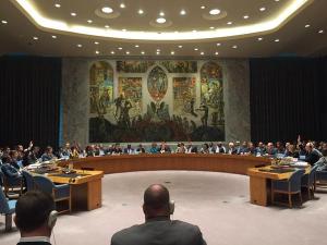 UN Security Council meeting, New York, July 29, 2015
