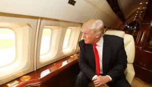 Donald Trump (--linkedin.com)