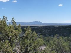 Quemado Institute Wildlife Refuge - Frugality bought this land.